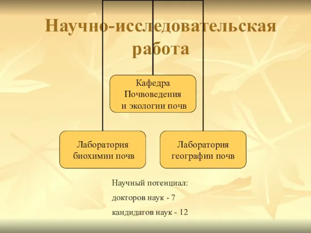 Научно-исследовательская работа Научный потенциал: докторов наук - 7 кандидатов наук - 12