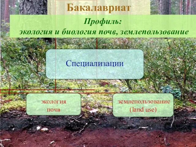 Профиль: экология и биология почв, землепользование Бакалавриат