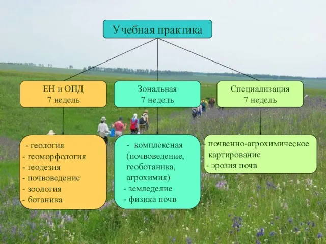 Учебная практика ЕН и ОПД 7 недель Зональная 7 недель Специализация