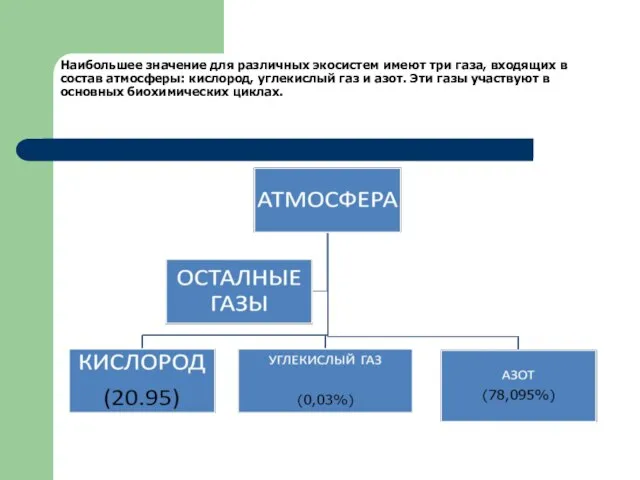 Наибольшее значение для различных экосистем имеют три газа, входящих в состав