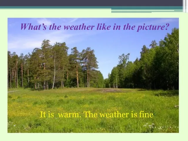 What’s the weather like in the picture? It is warm. The weather is fine .