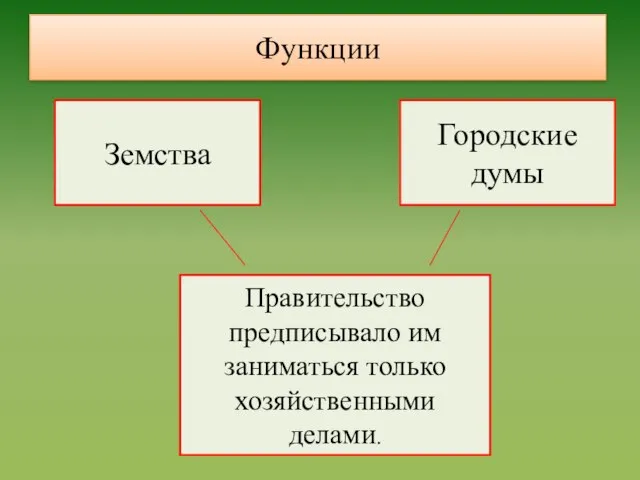 Земства Городские думы Правительство предписывало им заниматься только хозяйственными делами. Функции