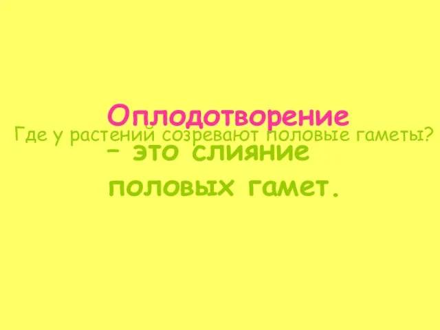 Оплодотворение – это слияние половых гамет. Где у растений созревают половые гаметы?