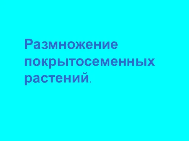 Размножение покрытосеменных растений.