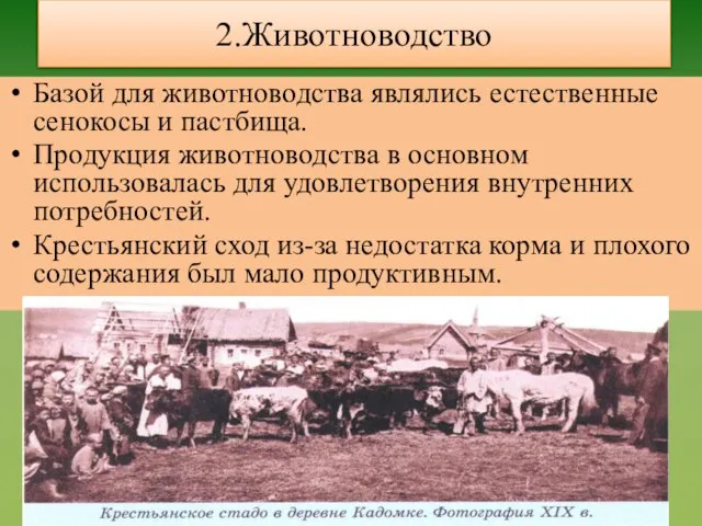 2.Животноводство Базой для животноводства являлись естественные сенокосы и пастбища. Продукция животноводства