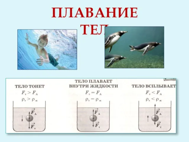 Плавание тел