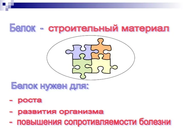 строительный материал Белок - Белок нужен для: - роста - развития организма - повышения сопротивляемости болезни