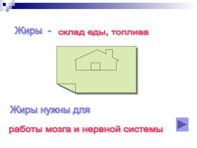 Жиры - склад еды, топлива Жиры нужны для работы мозга и нервной системы