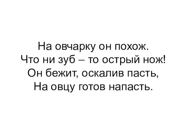 На овчарку он похож. Что ни зуб – то острый нож!