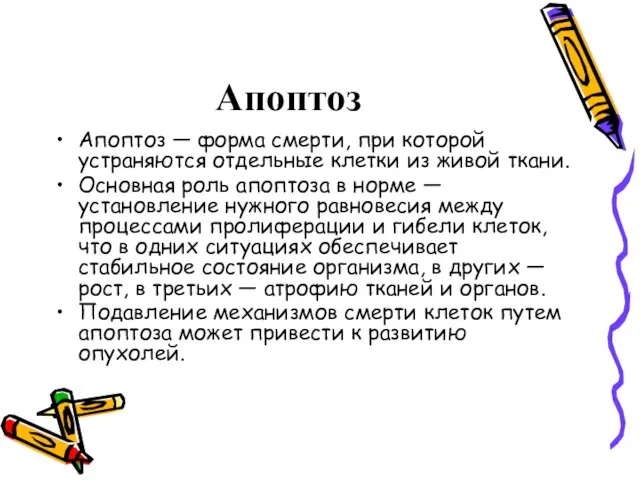 Апоптоз Апоптоз — форма смерти, при которой устраняются отдельные клетки из