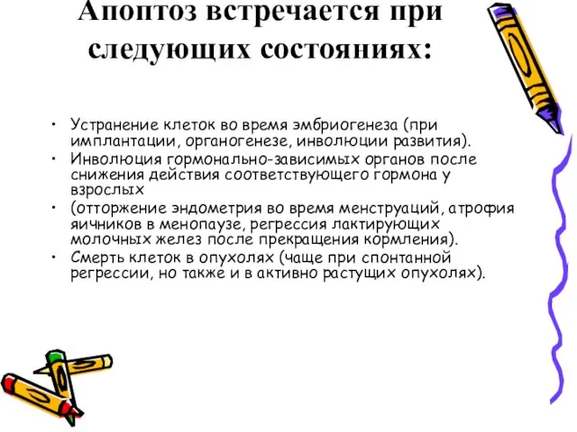 Апоптоз встречается при следующих состояниях: Устранение клеток во время эмбриогенеза (при