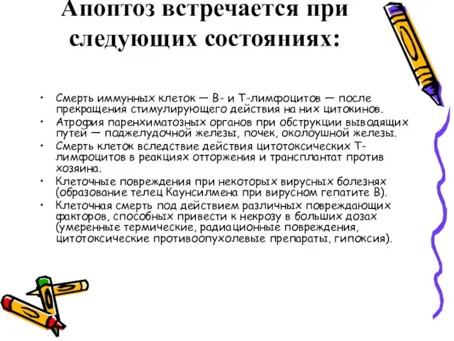 Апоптоз встречается при следующих состояниях: Смерть иммунных клеток — В- и