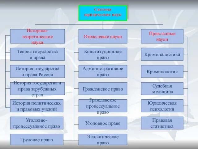 Система юридических наук Отраслевые науки Прикладные науки Историко-теоретические науки Конституционное право