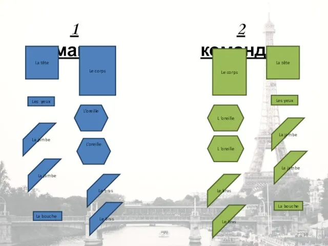 1 команда: 2 команда: La tête La tête Le corps Le