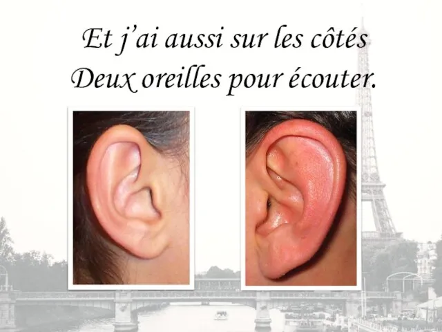 Et j’ai aussi sur les côtés Deux oreilles pour écouter.