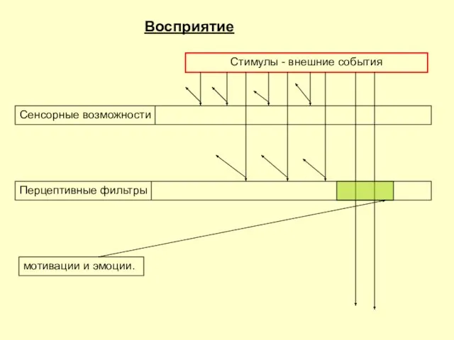 Восприятие Cенсорные возможности Перцептивные фильтры мотивации и эмоции. Стимулы - внешние события