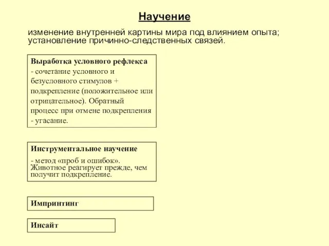 Научение изменение внутренней картины мира под влиянием опыта; установление причинно-следственных связей.