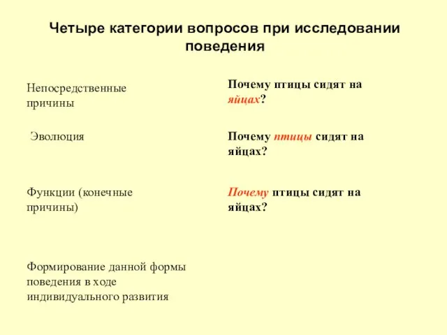 Четыре категории вопросов при исследовании поведения Непосредственные причины Почему птицы сидят