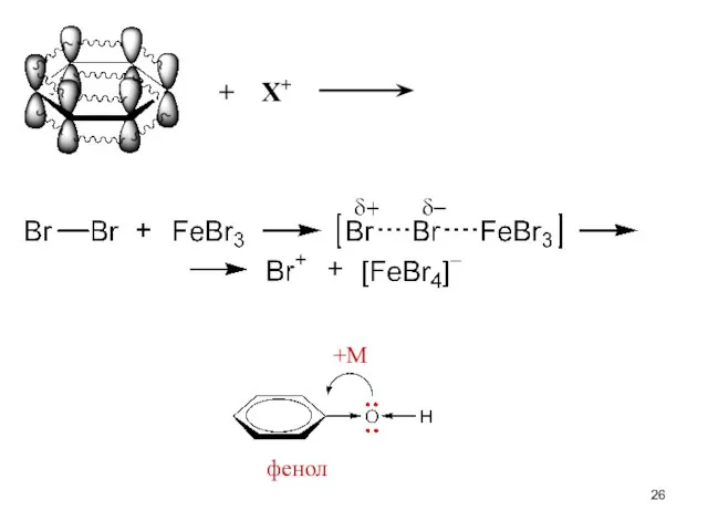 +М фенол + Х+