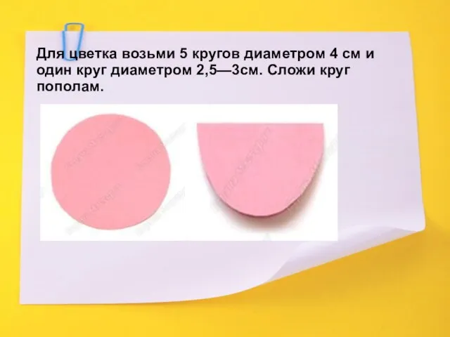 Для цветка возьми 5 кругов диаметром 4 см и один круг диаметром 2,5—3см. Сложи круг пополам.