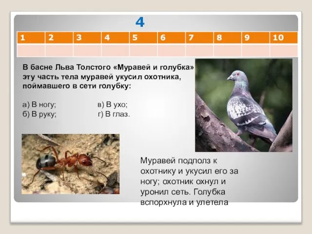 4 В басне Льва Толстого «Муравей и голубка» в эту часть