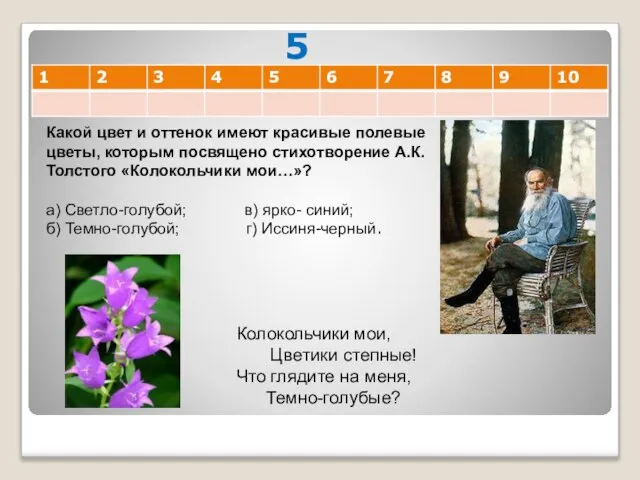 5 Какой цвет и оттенок имеют красивые полевые цветы, которым посвящено