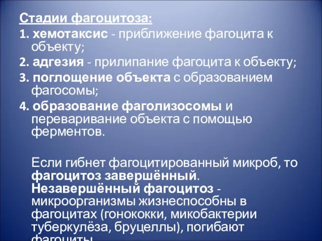 Стадии фагоцитоза: 1. хемотаксис - приближение фагоцита к объекту; 2. адгезия