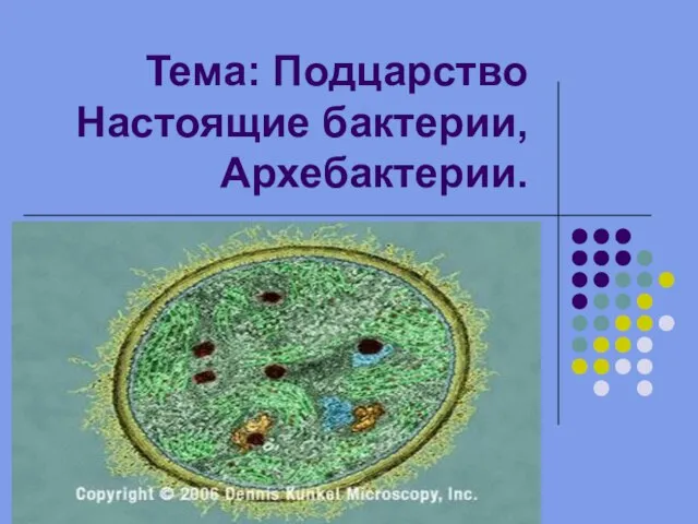 Тема: Подцарство Настоящие бактерии, Архебактерии.