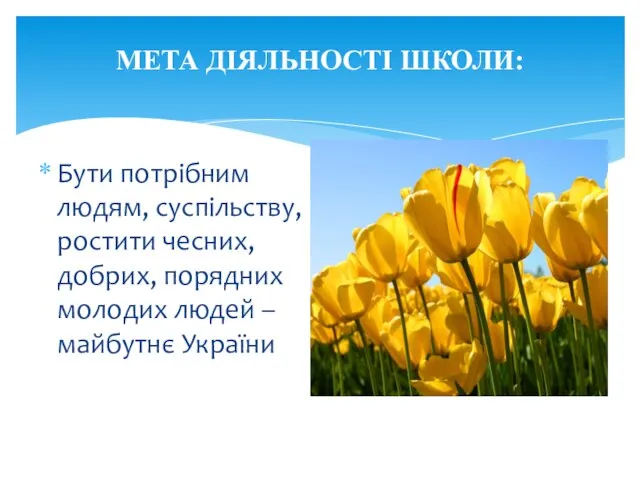 МЕТА ДІЯЛЬНОСТІ ШКОЛИ: Бути потрібним людям, суспільству, ростити чесних, добрих, порядних молодих людей – майбутнє України