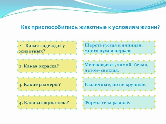 Как приспособились животные к условиям жизни? Какая «одежда» у животных? 2.