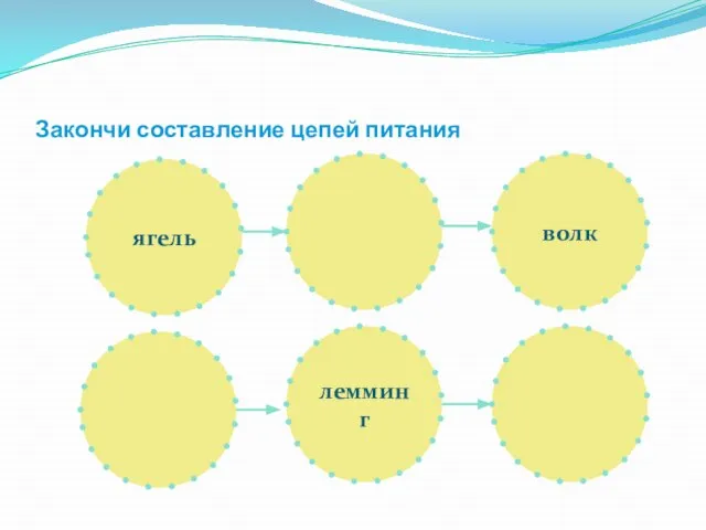 Закончи составление цепей питания ягель волк лемминг