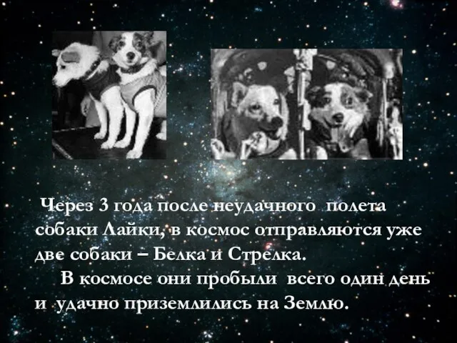 Через 3 года после неудачного полета собаки Лайки, в космос отправляются