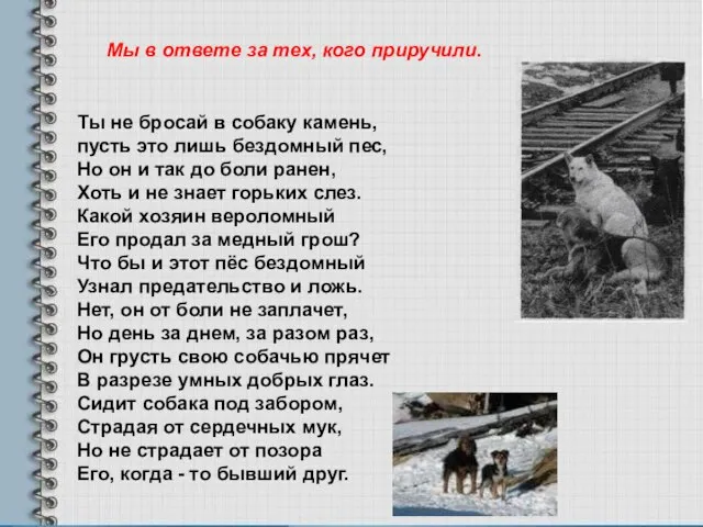 Ты не бросай в собаку камень, пусть это лишь бездомный пес,