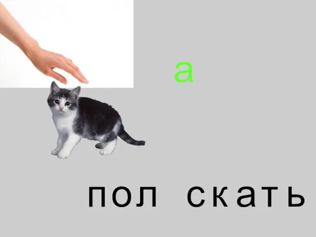 п о л а с т ь к а