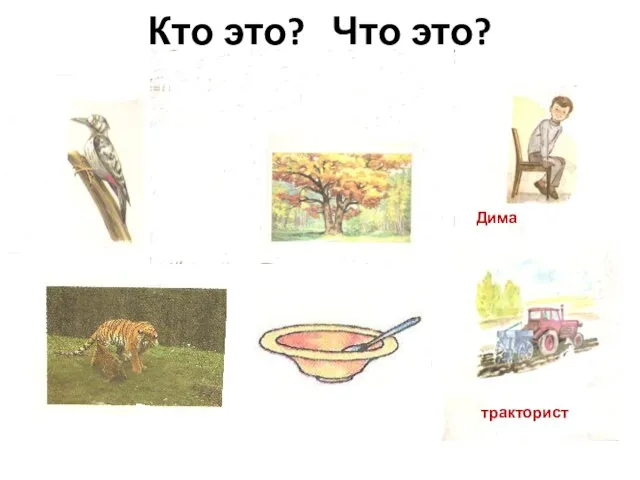 Кто это? Что это? Дима тракторист