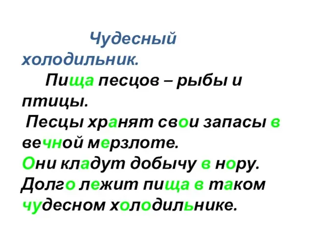 Чудесный холодильник. Пища песцов – рыбы и птицы. Песцы хранят свои