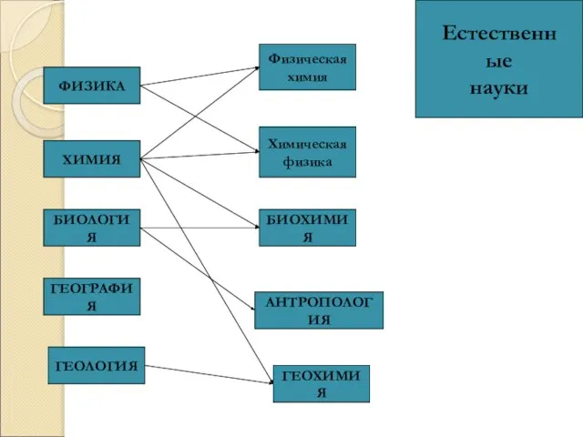 ФИЗИКА ХИМИЯ БИОЛОГИЯ ГЕОЛОГИЯ АНТРОПОЛОГИЯ ГЕОХИМИЯ Физическая химия Химическая физика БИОХИМИЯ ГЕОГРАФИЯ Естественные науки