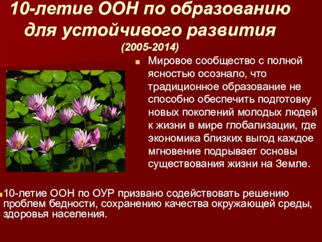 10-летие ООН по образованию для устойчивого развития (2005-2014) Мировое сообщество с