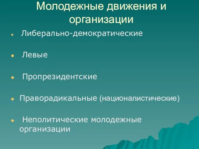 Молодежные движения и организации Либерально-демократические Левые Пропрезидентские Праворадикальные (националистические) Неполитические молодежные организации