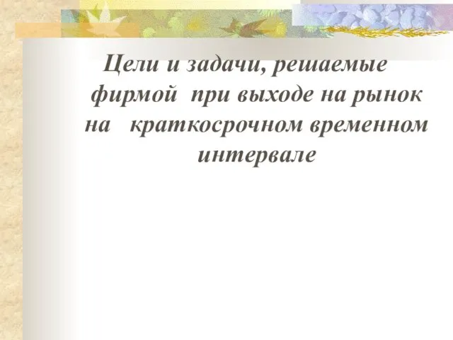 Цели и задачи, решаемые фирмой при выходе на рынок на краткосрочном временном интервале