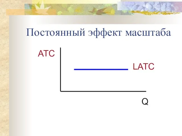 Постоянный эффект масштаба