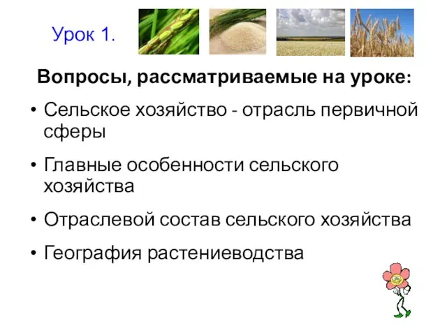 Вопросы, рассматриваемые на уроке: Сельское хозяйство - отрасль первичной сферы Главные