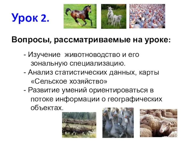 Урок 2. Вопросы, рассматриваемые на уроке: - Изучение животноводство и его