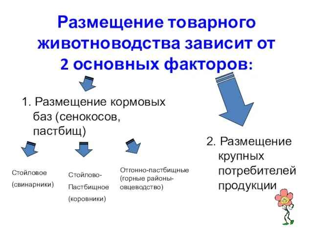 Размещение товарного животноводства зависит от 2 основных факторов: 1. Размещение кормовых