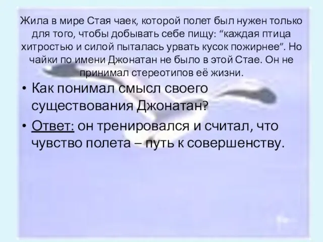 Жила в мире Стая чаек, которой полет был нужен только для