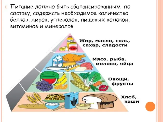 Питание должно быть сбалансированным по составу, содержать необходимое количество белков, жиров,