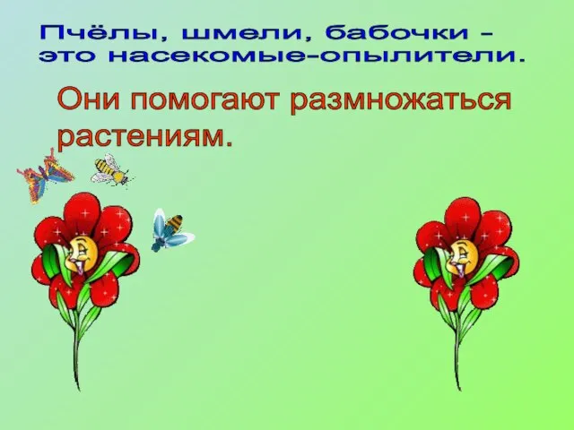 Пчёлы, шмели, бабочки - это насекомые-опылители. Они помогают размножаться растениям.