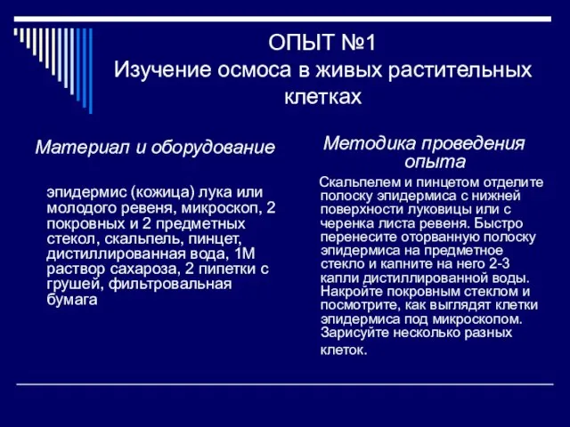 ОПЫТ №1 Изучение осмоса в живых растительных клетках Материал и оборудование