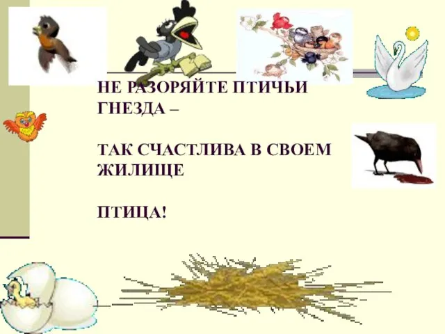 НЕ РАЗОРЯЙТЕ ПТИЧЬИ ГНЕЗДА – ТАК СЧАСТЛИВА В СВОЕМ ЖИЛИЩЕ ПТИЦА!