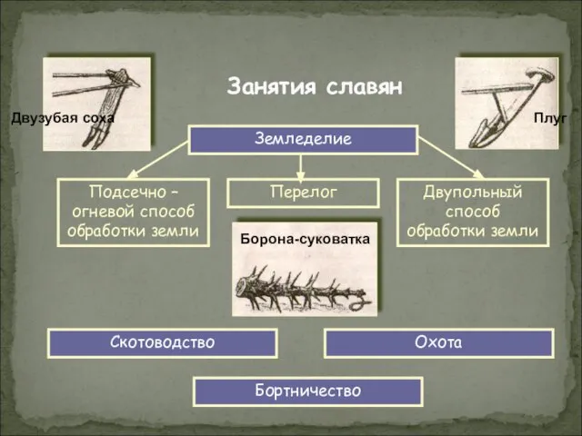 Занятия славян Подсечно – огневой способ обработки земли Перелог Двупольный способ